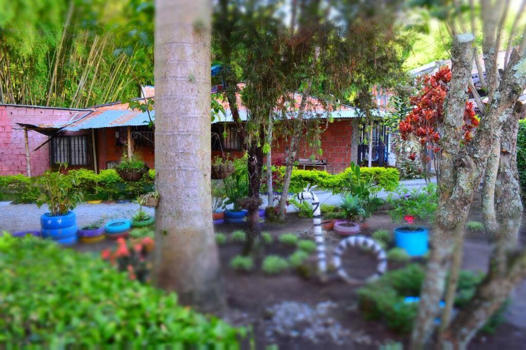 Casa Familiar Y Agradable, Parqueadero Y Bbq Hébergement de vacances Armenia (Quindio)