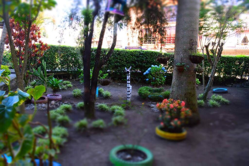 Casa Familiar Y Agradable, Parqueadero Y Bbq Armenia (Quindio)