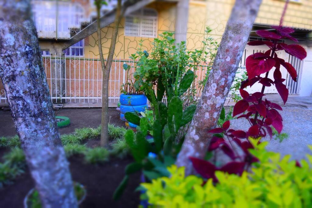 Hébergement de vacances Casa Familiar Y Agradable, Parqueadero Y Bbq
